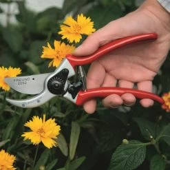 Freund 2002 Snoeischaar -Tuingereedschap Verkoop 1030718 freund 2002 snoeischaar 4000925414728 s2