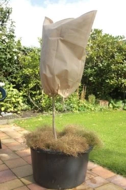 CUPA Kuipplantenbeschermhoes 1,2x1,8m - 2st - Vorstbescherming -Tuingereedschap Verkoop 9042250 cupa img 8689 1 1