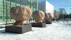 CUPA Kuipplantenbeschermhoes 2,0x2,4m - Vorstbescherming