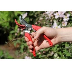 ARS 120DXT Snoeischaar Rozen -Tuingereedschap Verkoop ars 120dxt snoeischaar rozen