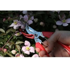 ARS 120DXT Snoeischaar Rozen -Tuingereedschap Verkoop ars120dxt rozen snoeischaar