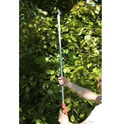 ARS 180-1.2 Langarm Snoeischaar -Tuingereedschap Verkoop ars180 1.2 langarm presenteerschaar