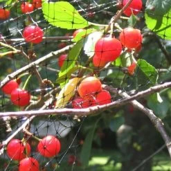 Arta Tuinnet 4x10m OP=OP