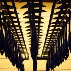 De Wit Hak Halve Maan 14 / 16 / 18 / 20 / 22 Cm Gesmeed - Zonder Steel -Tuingereedschap Verkoop de wit hak halve maan.ae765d63 1