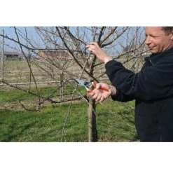 FELCO 8 Snoeischaar -Tuingereedschap Verkoop felco 8 snoeischaar 1062 felco 8 arboriculture