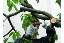 Silky Gomtaro Pro Sentei 240-8-14 Holsterzaag -Tuingereedschap Verkoop gomtaro pro sentei 1 actie