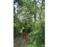 Silky Hayauchi 4900 3-delig - Stokzaag Compleet -Tuingereedschap Verkoop silky hayauchi dsc 2186 1 1