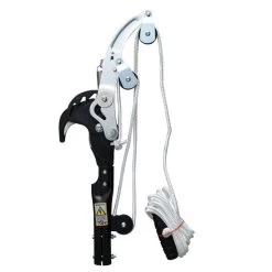 Sintung Rupsenschaar Voor Silky Hayauchi